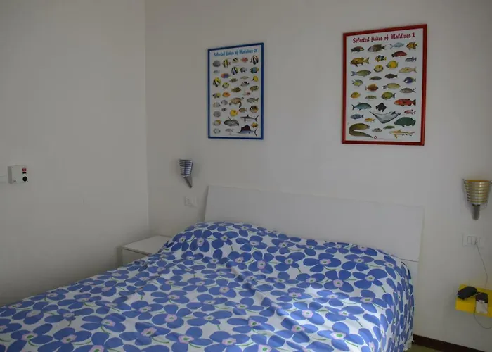 Sporting ביביונה